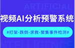 AI视频分析预警系统在户外公共区域的应用